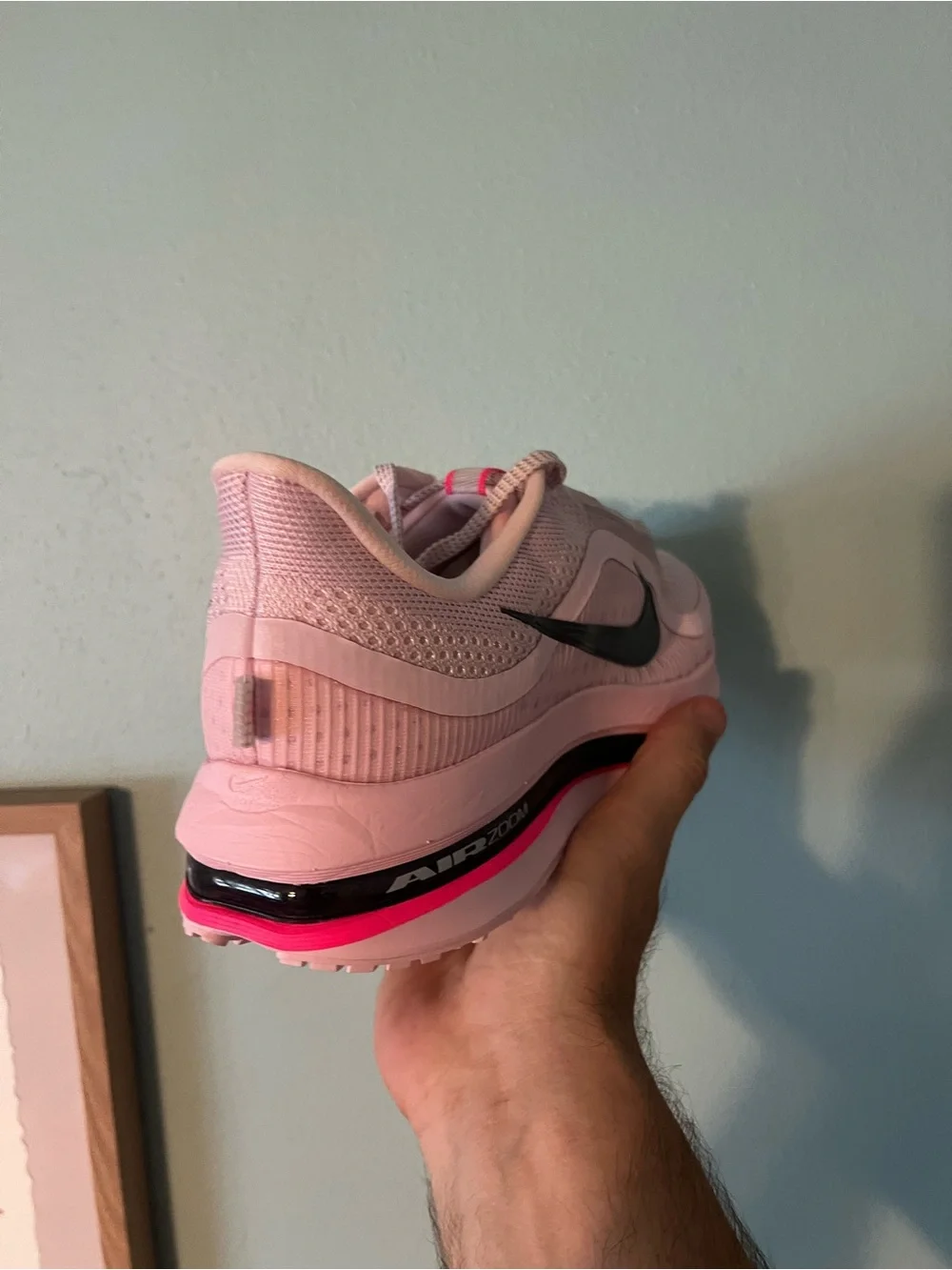 Nike mens pegasus